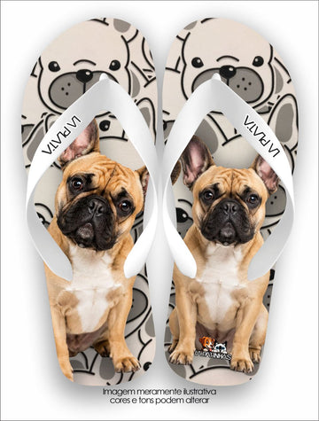 Chinelo Tradicional La Patinhas Dogs Buldogue Francês Fulvo