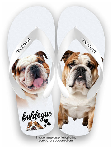 Chinelo Tradicional La Patinhas Dogs Buldogue Inglês