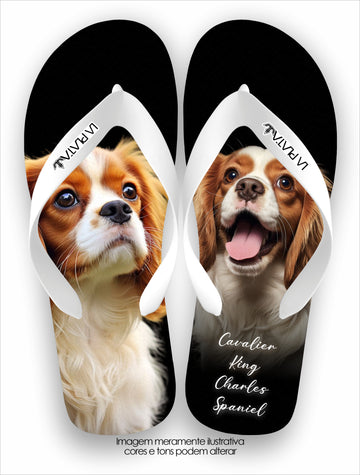 Chinelo Tradicional La Patinhas Dogs Cavalier King Charles Spaniel