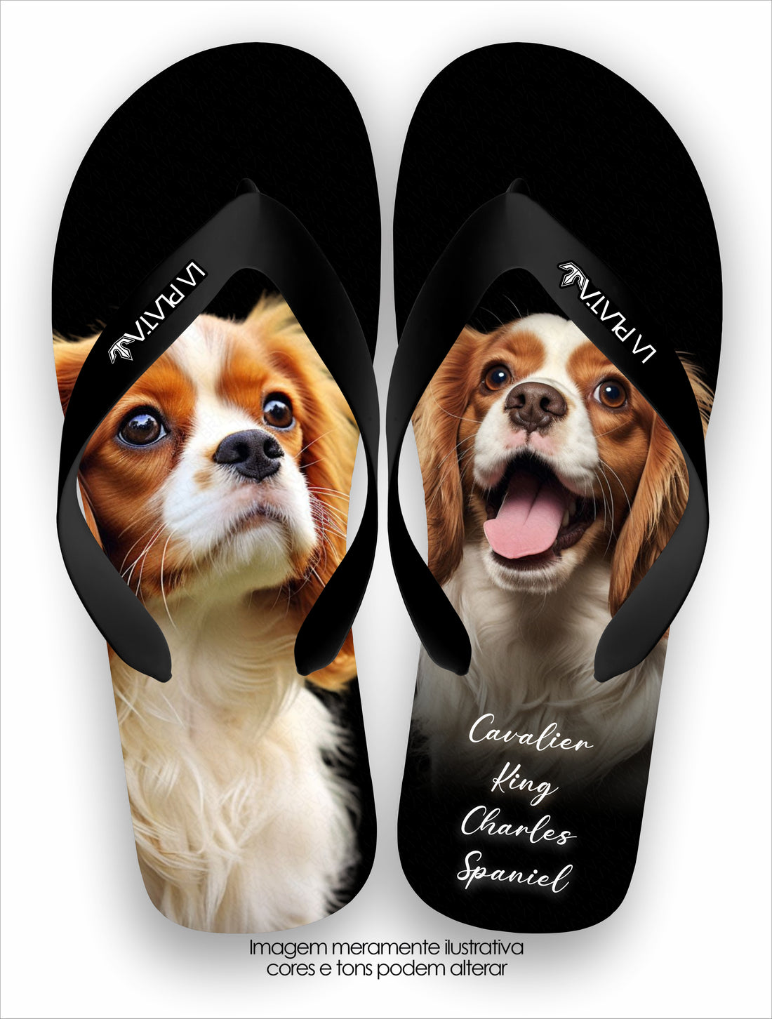 Chinelo Tradicional La Patinhas Dogs Cavalier King Charles Spaniel