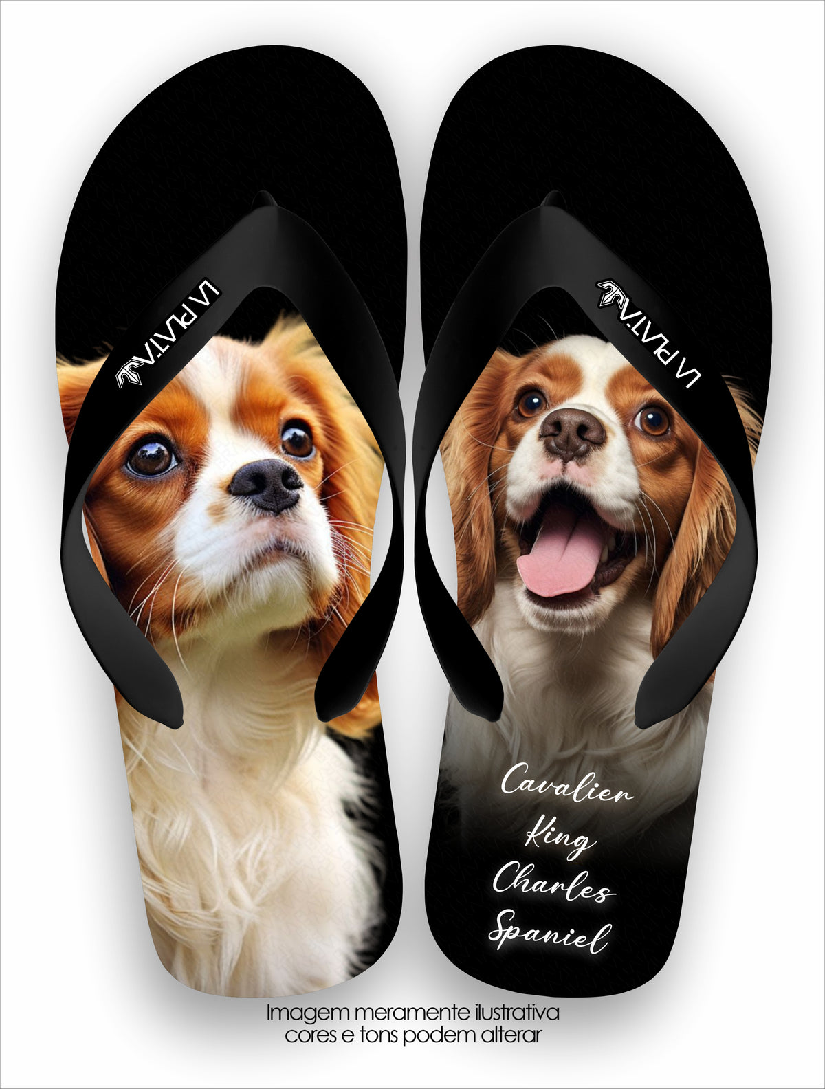 Chinelo Tradicional La Patinhas Dogs Cavalier King Charles Spaniel