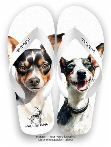 Chinelo Tradicional La Patinhas Dogs Fox Paulistinha
