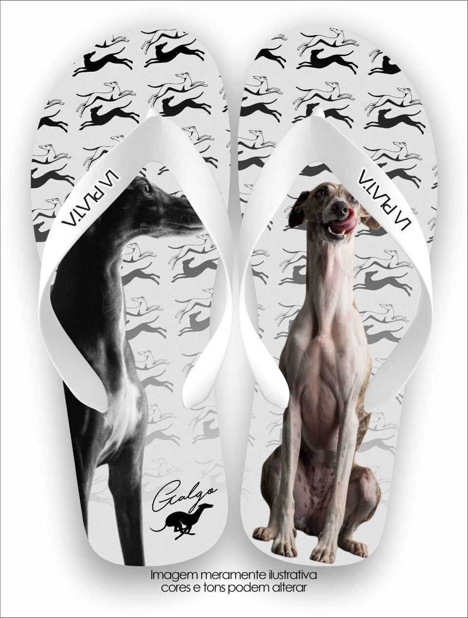 Chinelo Tradicional La Patinhas Dogs Galgo Foto