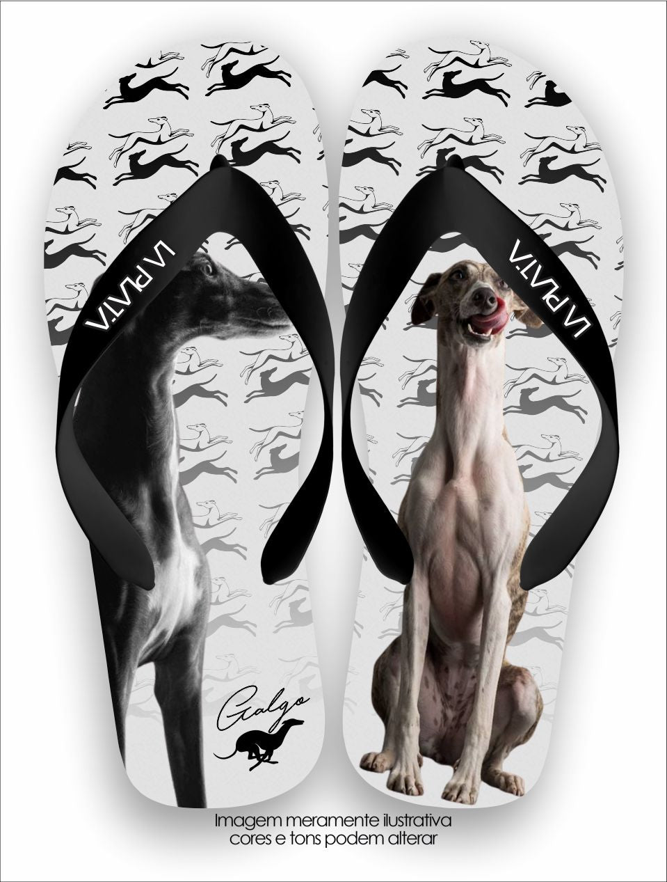Chinelo Tradicional La Patinhas Dogs Galgo Foto