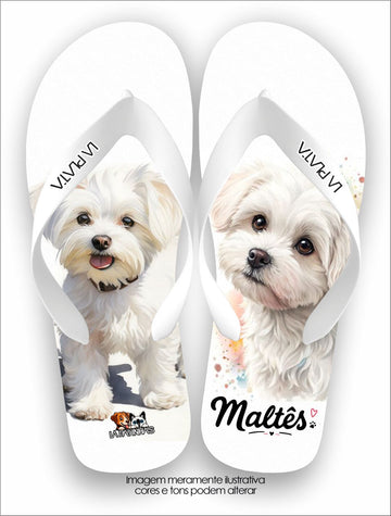 Chinelo Tradicional La Patinhas Dogs Maltês