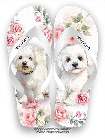 Chinelo Tradicional La Patinhas Dogs Maltês Floral