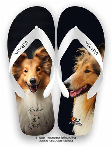 Chinelo Tradicional La Patinhas Dogs Pastor de Shetland