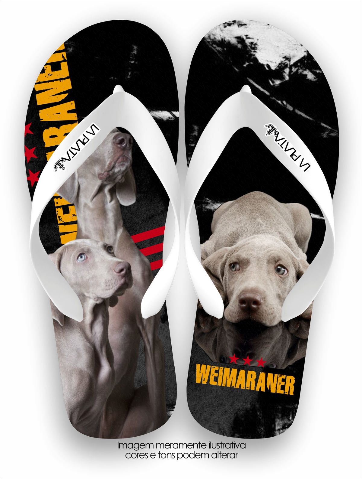 Chinelo Tradicional La Patinhas Dogs Weimaraner