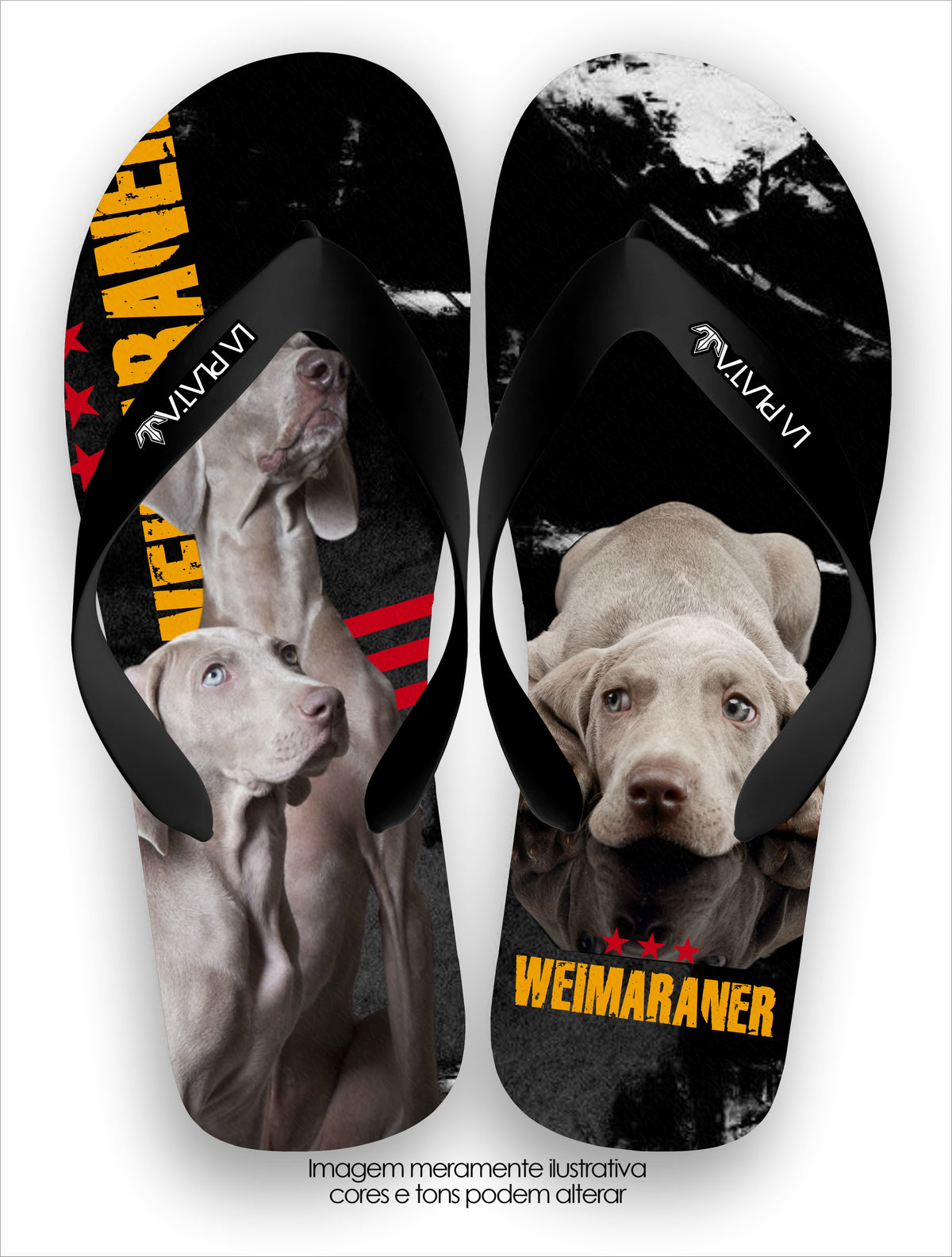 Chinelo Tradicional La Patinhas Dogs Weimaraner